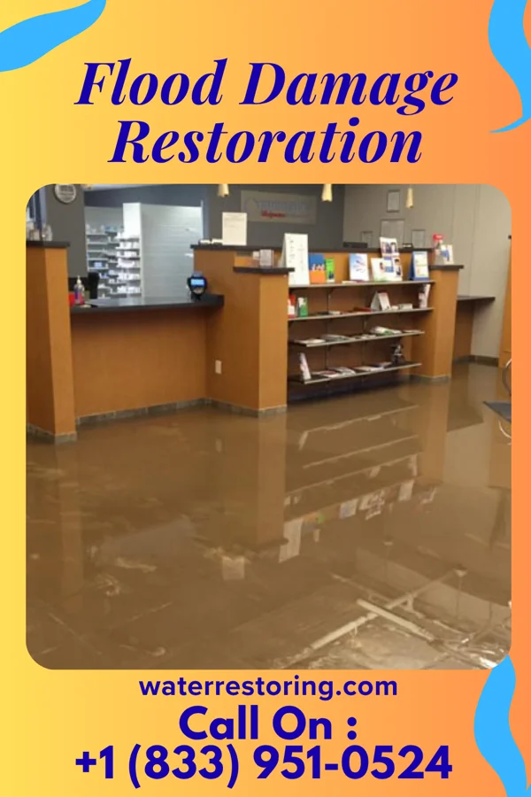 Flood Damage Restoration in Martin, NE