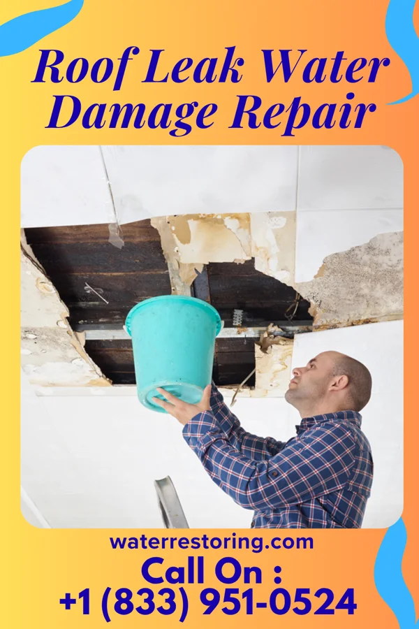 Roof Leak Water Damage Repair in Martin, NE